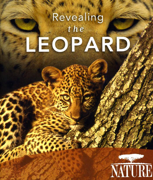 F164. PBS Nature - Revealing the Leopard 2010 3D 25G